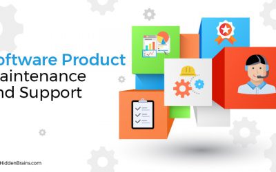 Gói dịch vụ bảo trì phần mềm và hỗ trợ kỹ thuật (Software Maintenance & Support Plan)