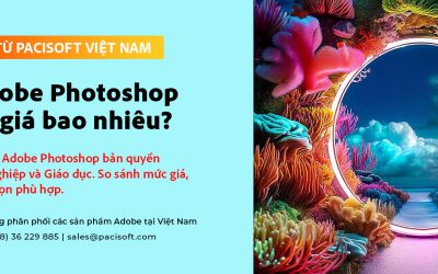 Adobe Photoshop có giá bao nhiêu? Bản quyền cho doanh nghiệp và giáo dục