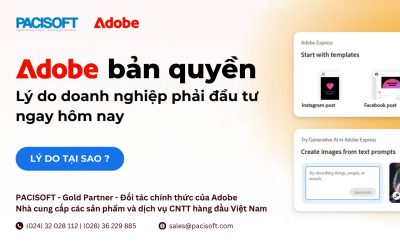 Adobe bản quyền: Lý do doanh nghiệp phải đầu tư ngay