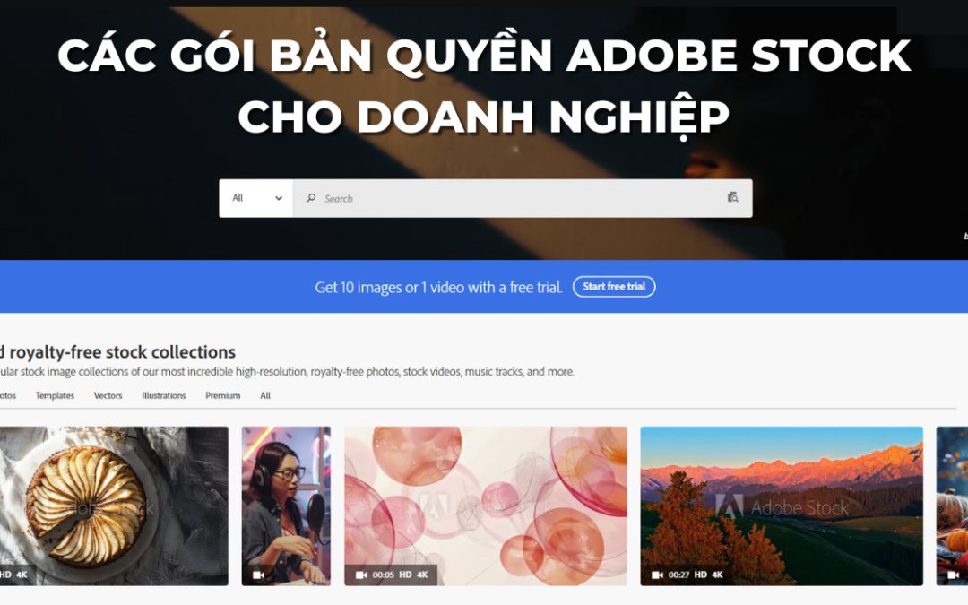 Các gói bản quyền Adobe Stock cho doanh nghiệp | Mua phần mềm Adobe giá tốt