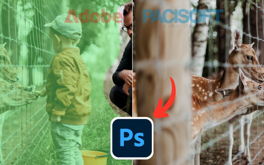 Cách xóa người và vật thể trong ảnh bằng phần mềm Photoshop 2025