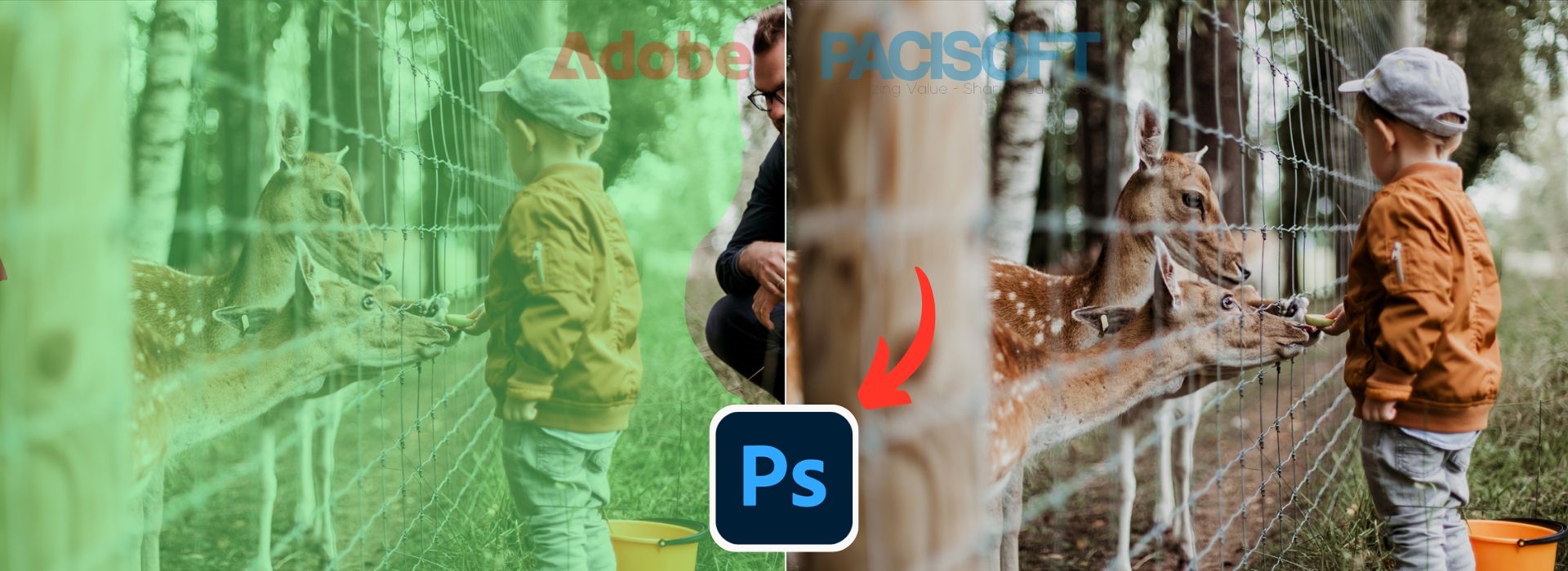 Cách xóa người và vật thể trong ảnh bằng phần mềm Photoshop