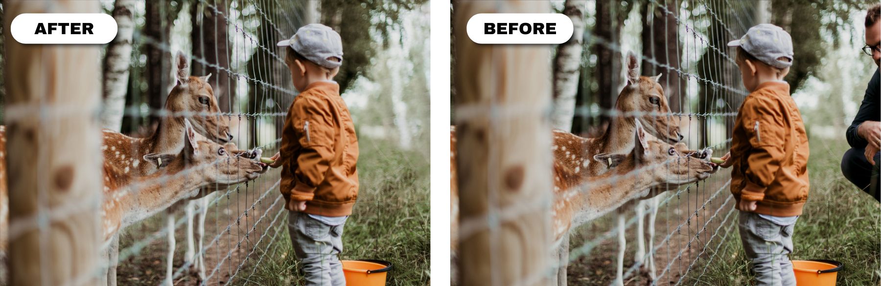 photoshop remove-person-from-photo_BEFOREAFTER