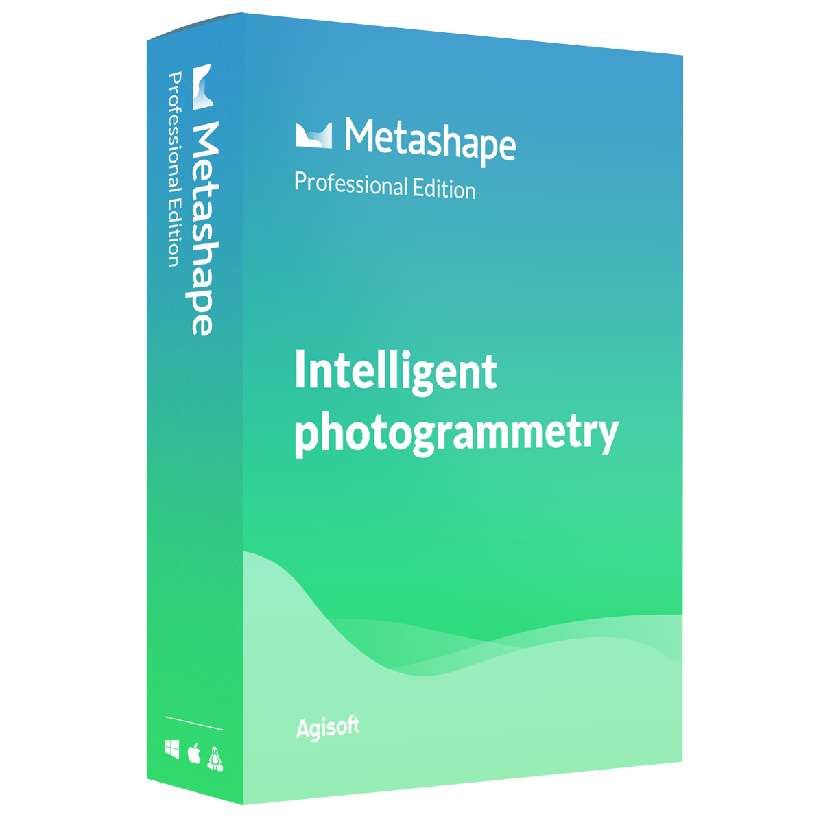 metashape professional