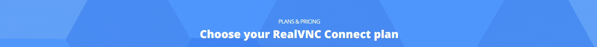 realvnc plans